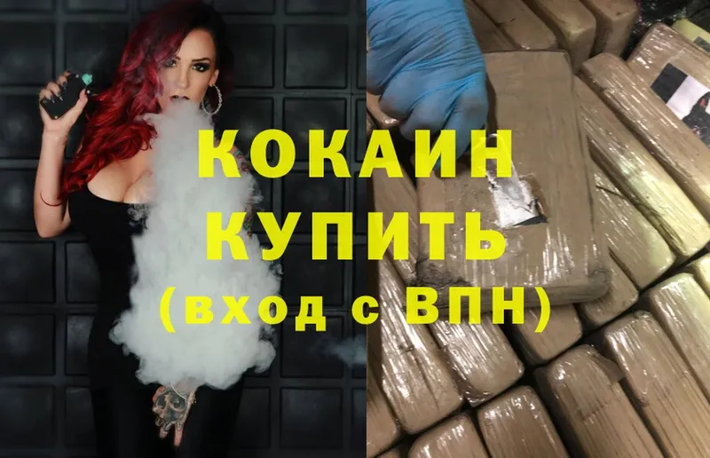 Кокаин Fish Scale  darknet состав  Хилок 